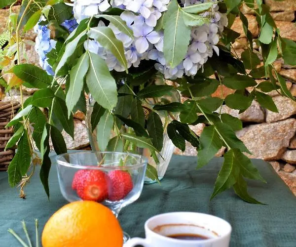 Casa Do Caseiro A Costa Da Morte * Xornes