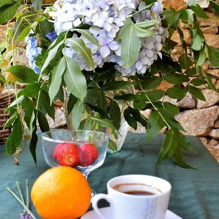 Casa Do Caseiro A Costa Da Morte * Xornes